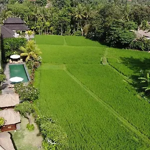 Byasa 3*, Ubud Indonesien
